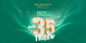Thông tin ưu đãi giá bán căn hộ tại dự án The Emerald Garden View